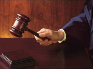 Expert Witness Testimony